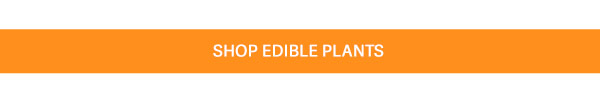 Shop Edible Plants