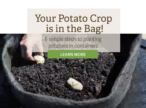 Your Potato Crop is in the Bag!
