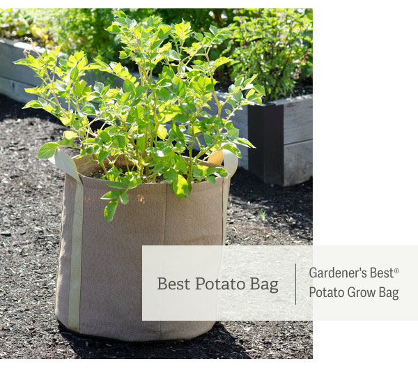 Best Potato Bag Pictured: Gardener's Best Potato Grow Bag