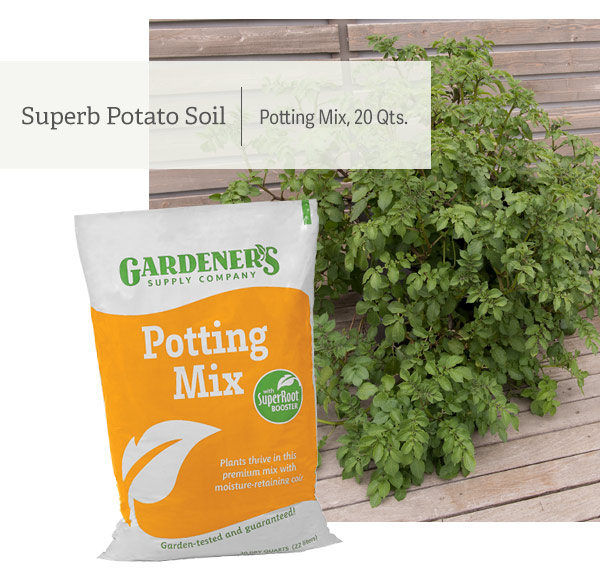 Superb Potato Soil Pictured: Potting Mix, 20 Qts
