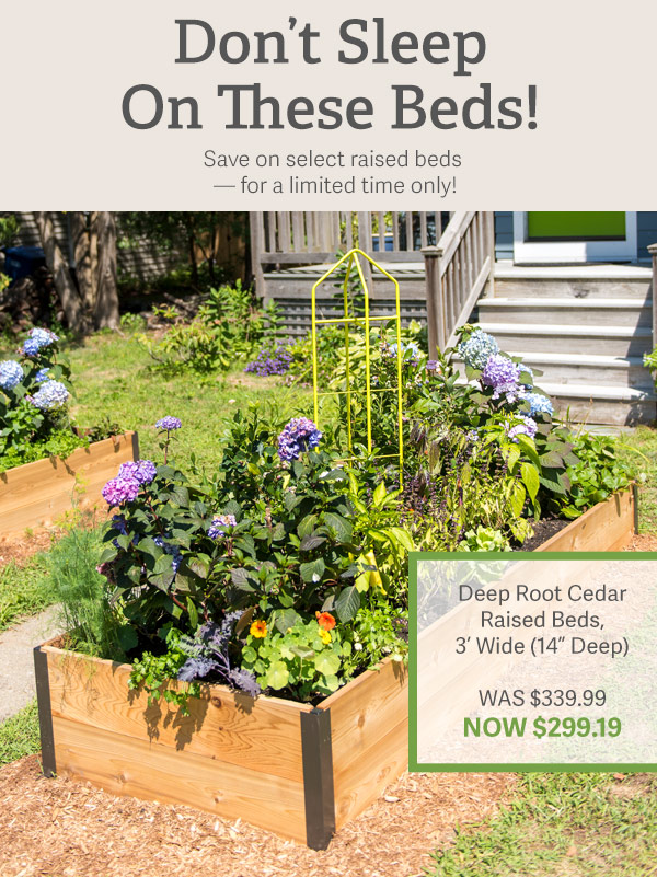 Don't Sleep On These Beds! - Save on select raised beds for a limited time only! Pictured: Deep Root Cedar Raised Beds, 3' Wide (14" Deep) Was $339.99 NOW $299.19