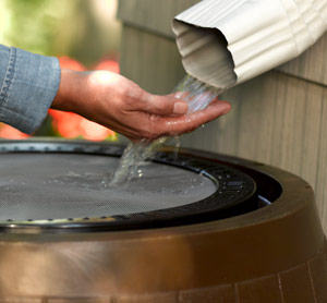 Pictured: Rain flowing into a rain barrel over a person's hand.