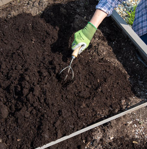 Pictured: Gardener using Lifetime Cultivator to turn over soil in a raised bed