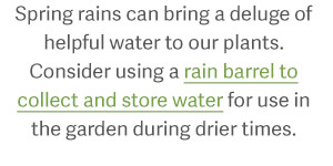 Spring rains can bring a deluge of helpful water to our plants. Consider using a rain barrel to collect and store water for use in the garden during drier times.