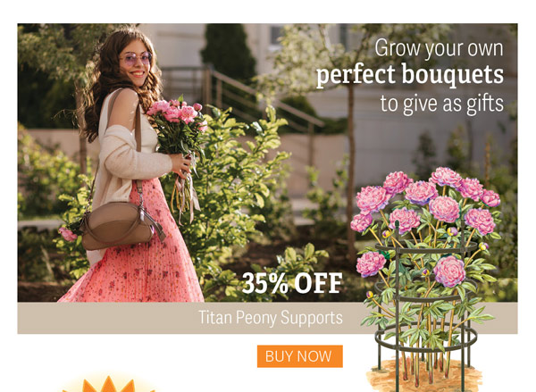 Grow your own perfect bouquets to give as gifts - 35% Off Titan Peony Supports - Buy Now