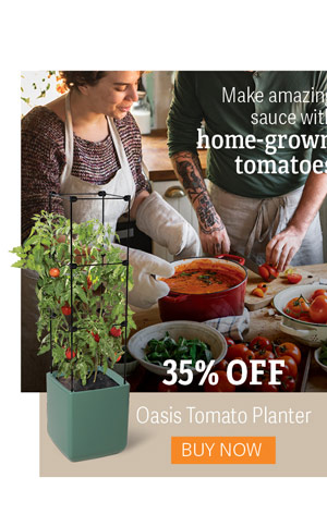 Make amazing sauce with home-grown tomatoes - 35% OFF Oasis Tomato Planter - Buy Now