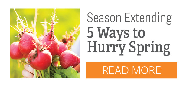 Season Extending - 5 Ways to Hurry Spring