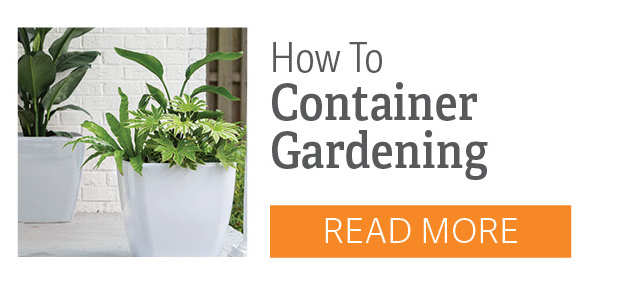 How to: Container Gardening