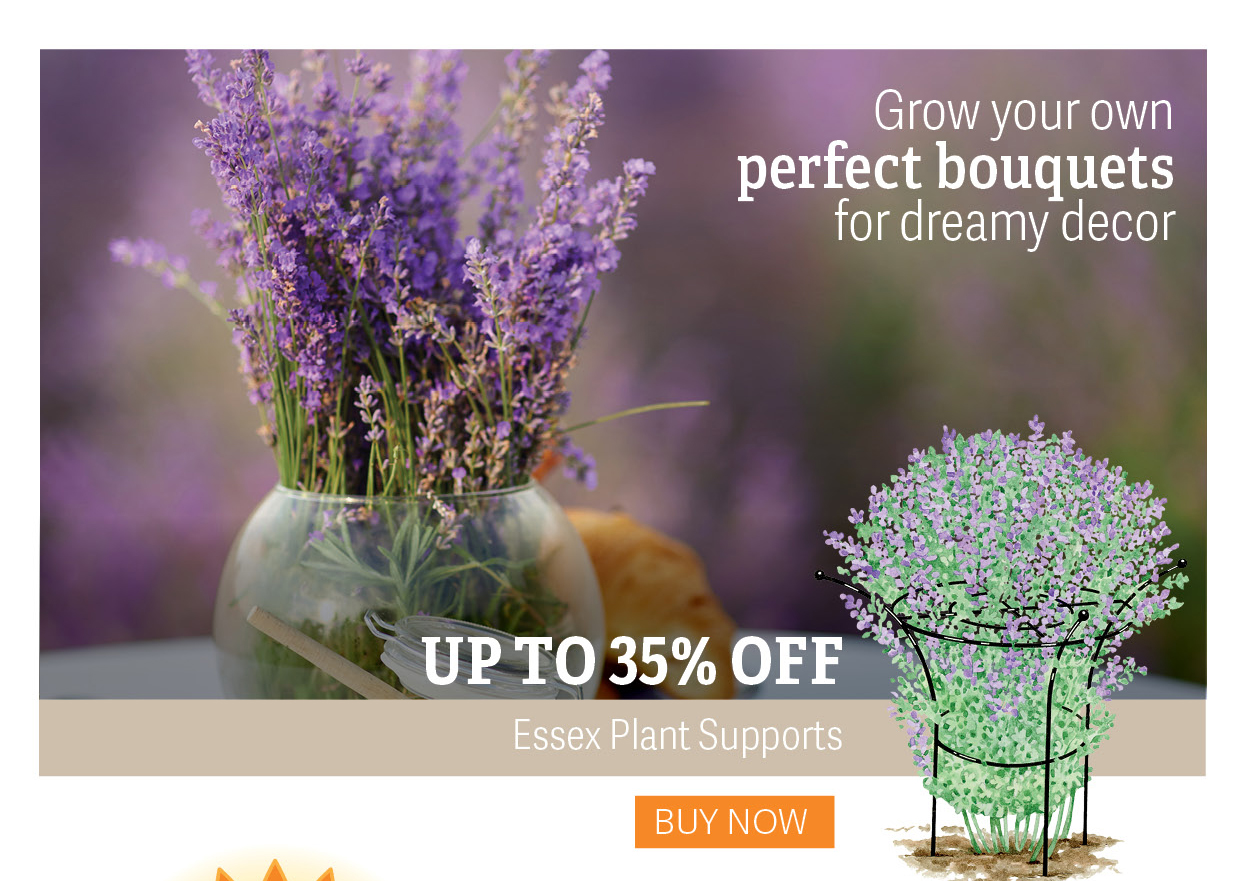 Grow your own perfect bouquets for dreamy decor Up to 35% off Essex Plant Supports - Buy Now