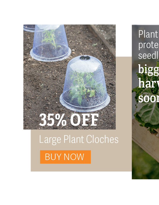 35% OFF Large Plant Cloches - Buy Now