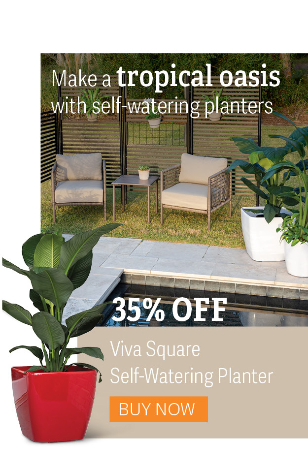 Make a tropical oasis with self-watering planters - 35% Off Viva Square Self-Watering Planter - Buy Now