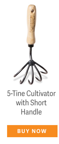 5-Tine Cultivator with Short Handle - BUY NOW
