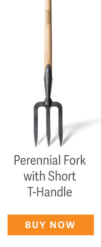 Perennial Fork with Short T-Handle - BUY NOW