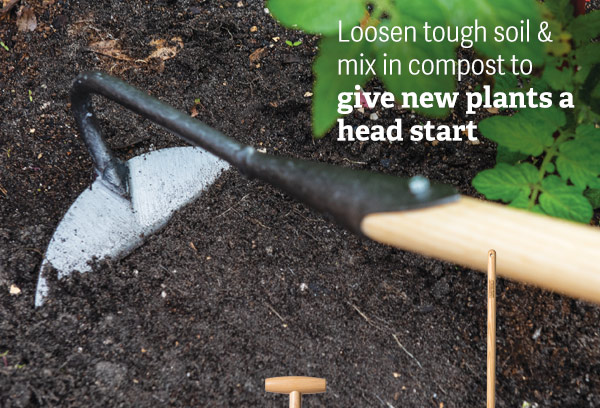 Loosen tough soil & mix in compost to give new plants a head start