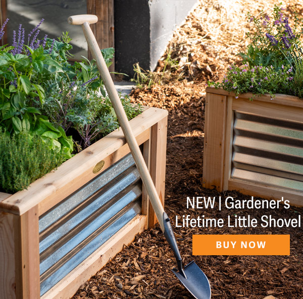 NEW | Gardener's Lifetime Little Shovel - Buy Now