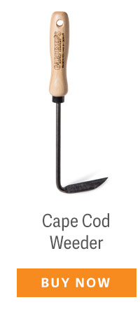 Cape Cod Weeder - BUY NOW