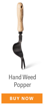 Hand Weed Popper - BUY NOW