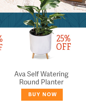 Ava Self Watering Round Planter 25% OFF