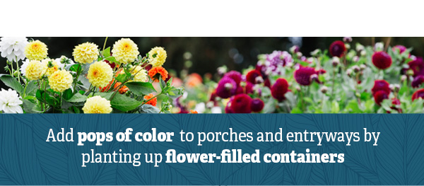 Add pops of color to porches and entryways by planting up flower-filled containers
