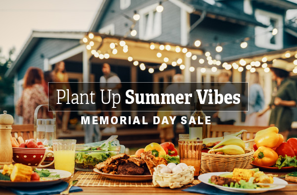 Plant Up Summer Vibes - Memorial Day Sale