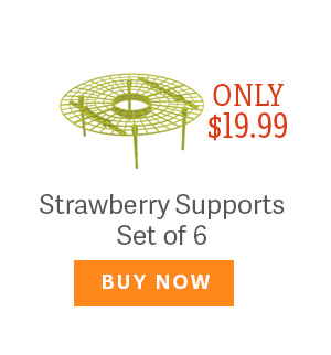 Only $19.99 - Strawberry Supports Set of 6 BUY NOW