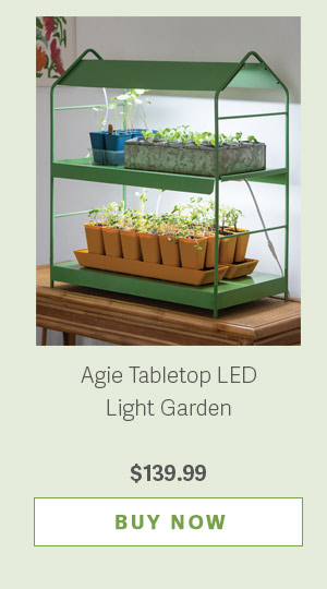 Agie Tabletop LED Light Garden - $139.99 - BUY NOW