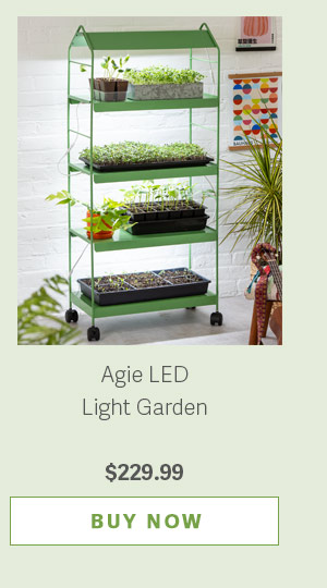 Agie LED Light Garden $229.99 - BUY NOW