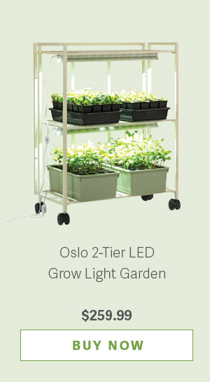 Oslo 2-Tier LED Grow Light Garden - $259.99 BUY NOW