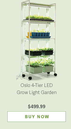 Oslo 4-Tier LED Grow Light Garden - $499.99 - BUY NOW