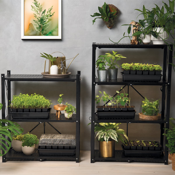 Pictured - Folding 3-Tier Grow Shelf with Plant Lights