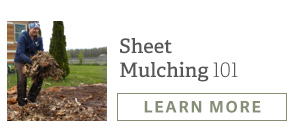 Sheet Mulching 101 - LEARN MORE