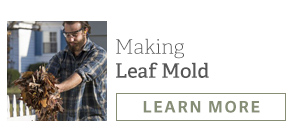 Making Leaf Mold - LEARN MORE