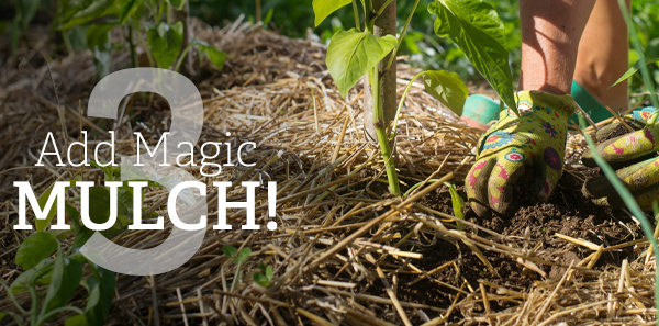 3) Add Magic Mulch!