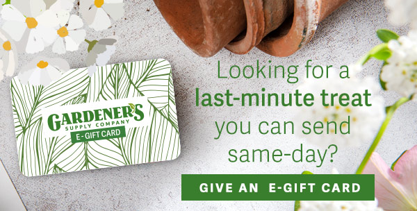 Looking for a last-minute treat you can send same-day? GIVE AN E-GIFT CARD