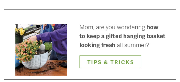 Mom, are you wondering how to keep a gifted hanging basket looking fresh all summer? - TIPS & TRICKS