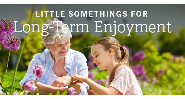 Little Somethings for Long-Term Enjoyment