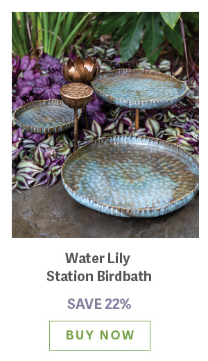 Water Lily Station Birdbath - SAVE 22% BUY NOW