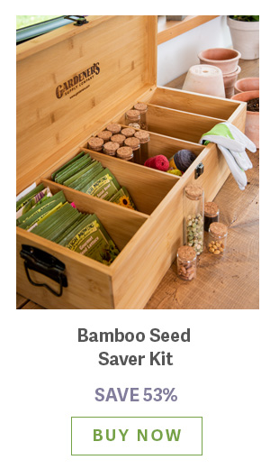 Bamboo Seed Saver Kit - SAVE 53% - BUY NOW