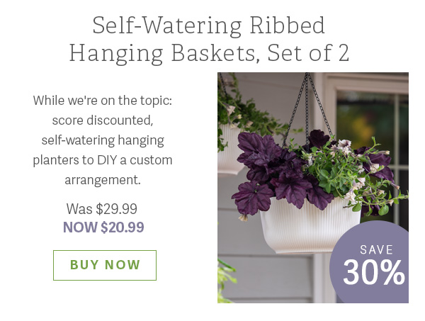 Self-Watering Ribbed Hanging Basket - While we're on the topic: score a discounted self-watering hanging planter to DIY a custom arrangement - WAS $29.99 NOW $20.99 - BUY NOW - SAVE 30%