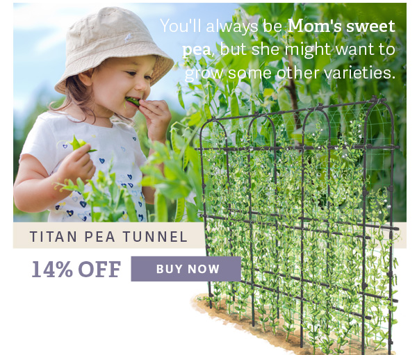 You'll always be Mom's sweet pea, but she might want to grow some other varieties. - TITAN PEA TRELLIS - 14% OFF - BUY NOW
