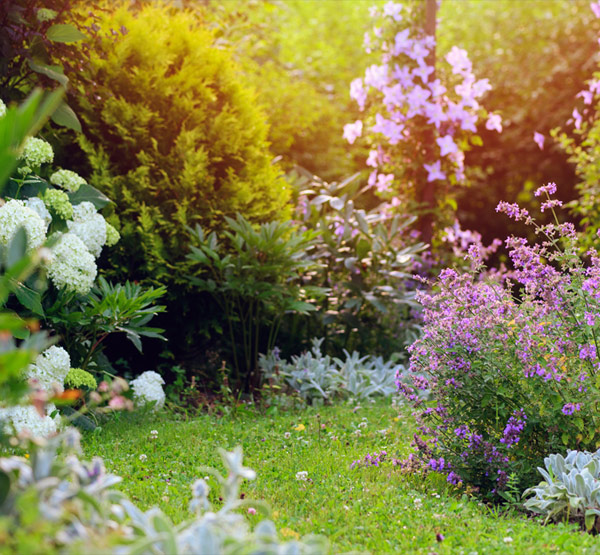 Pictured: Perennial Garden