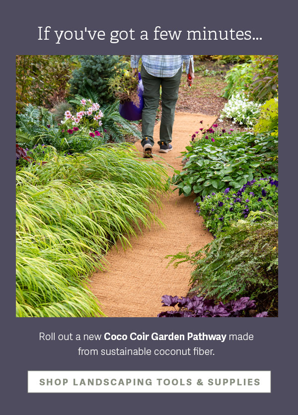 If you've got a few minutes... Roll out a new Coco Coir Garden Pathway made from sustainable coconut fiber. - SHOP LANDSCAPING TOOLS & SUPPLIES
