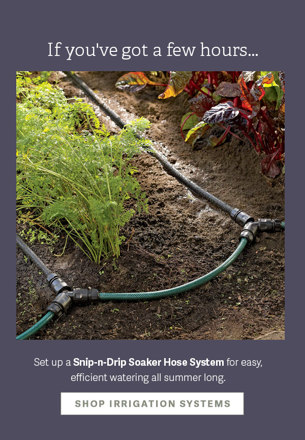 If you've got a few hours... Set up a Snip-n-Drip Soaker Hose System for easy, efficient watering all summer long. SHOP IRRIGATION SYSTEMS