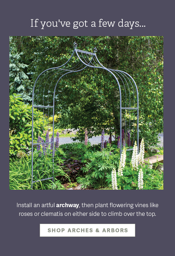 If you've got a few days... Install an artful archway, then plant flowering vines like roses or clematis on either side to climb over the top. SHOP ARCHES & ARBORS