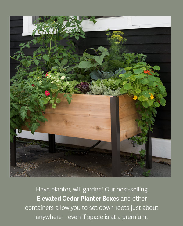 Have planter, will garden! Our best-selling Elevated Cedar Planter Boxes and other containers allow you to set down roots just about anywhere - even if space is at a premium.