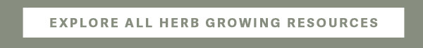 Explore All Herb Growing Resources