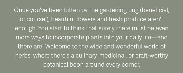 Once you've been bitten by the gardening bug (beneficial, of course!), beautiful flowers and fresh produce aren't enough. You start to think that surely there must be even more ways to incorporate plants into your daily life - and there are! Welcome to the wide and wonderful world of herbs, where there's a culinary, medicinal, or craft-worthy botanical boon around every corner.