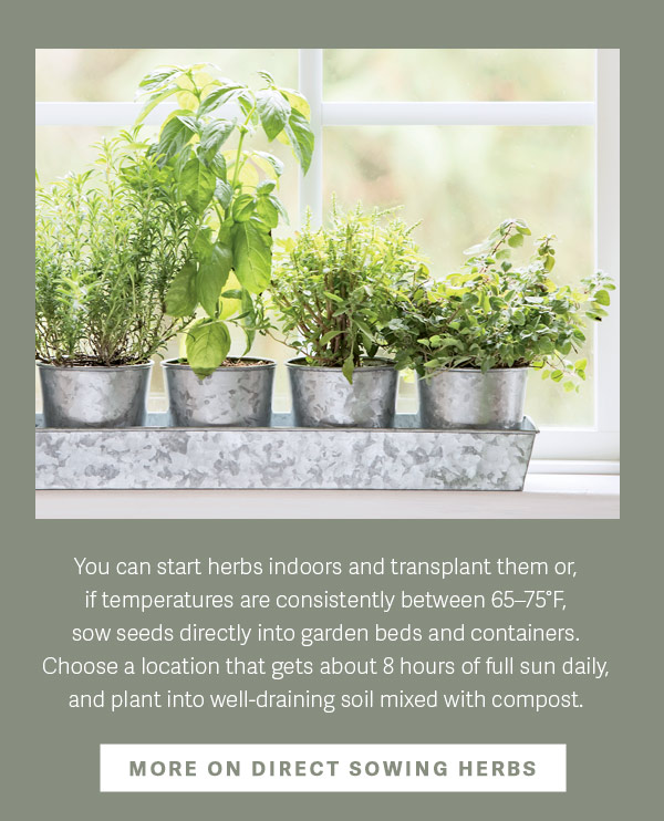 You can start herbs indoors and transplant them or, if temperatures are consistently between 65-75 F, Choose a location that gets about 8 hours of full sun daily, and plant into well-draining soil mixed with compost. - More On Direct Sowing Herbs