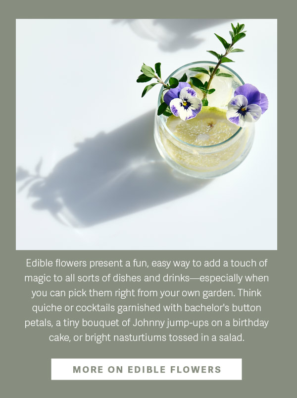 Edible flowers present a fun, easy way to add a touch of magic to all sorts of dishes and drinks - especially when you can pick them right from your own garden. Think quiche or cocktails garnished with bachelor's button petals, a tiny bouquet of Johnny jump-ups on a birthday cake, or bright nasturtiums tossed in a salad. - More on Edible Flowers