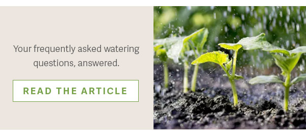 Your frequently asked watering questions, answered. READ THE ARTICLE
